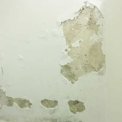 1595497742158996.jpg u=724225132,2519232889&fm=26&gp=0.jpg